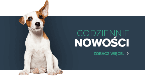 Nowości