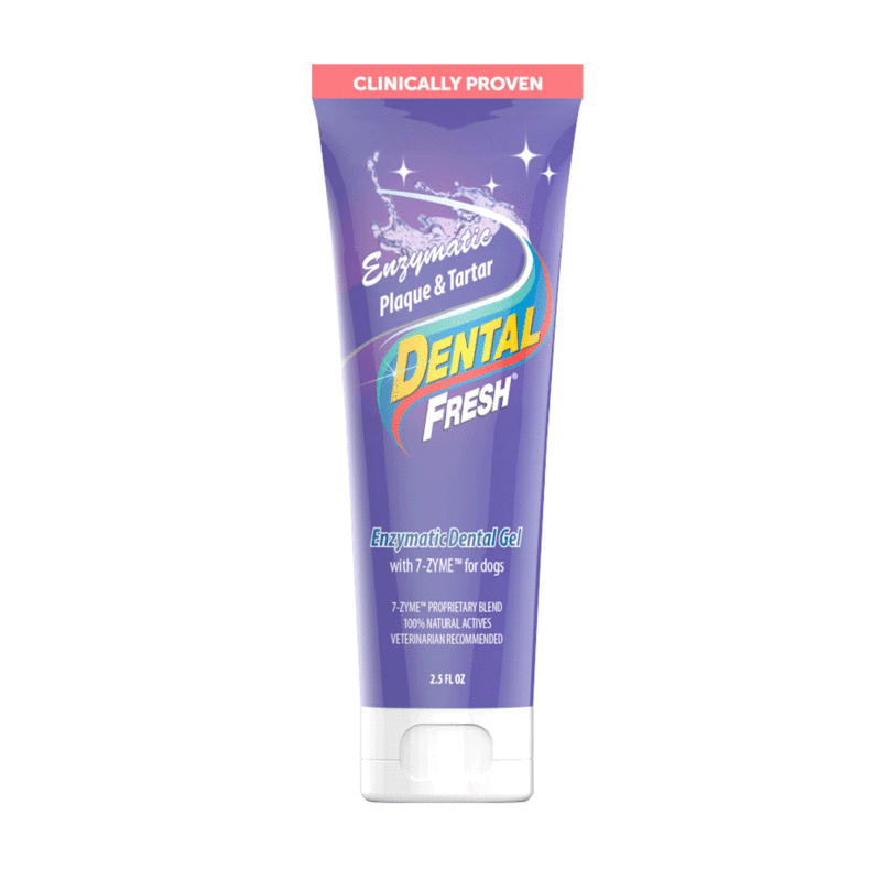 DENTAL FRESH Gel - Żel enzymatyczny