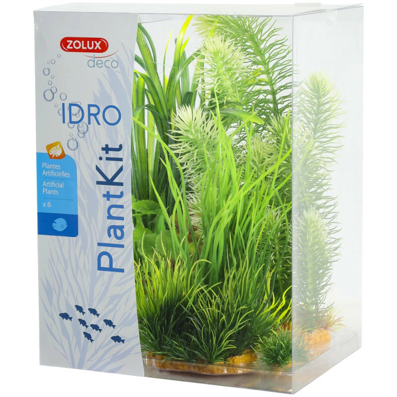 present day commonplace processing ZOLUX Plantkit IDRO N°3 - zestaw sztucznych roślin do akwarium dla rybek present day commonplace processing ZOLUX Plantkit IDRO N°3 - zestaw sztucznych roślin do akwarium dla rybek