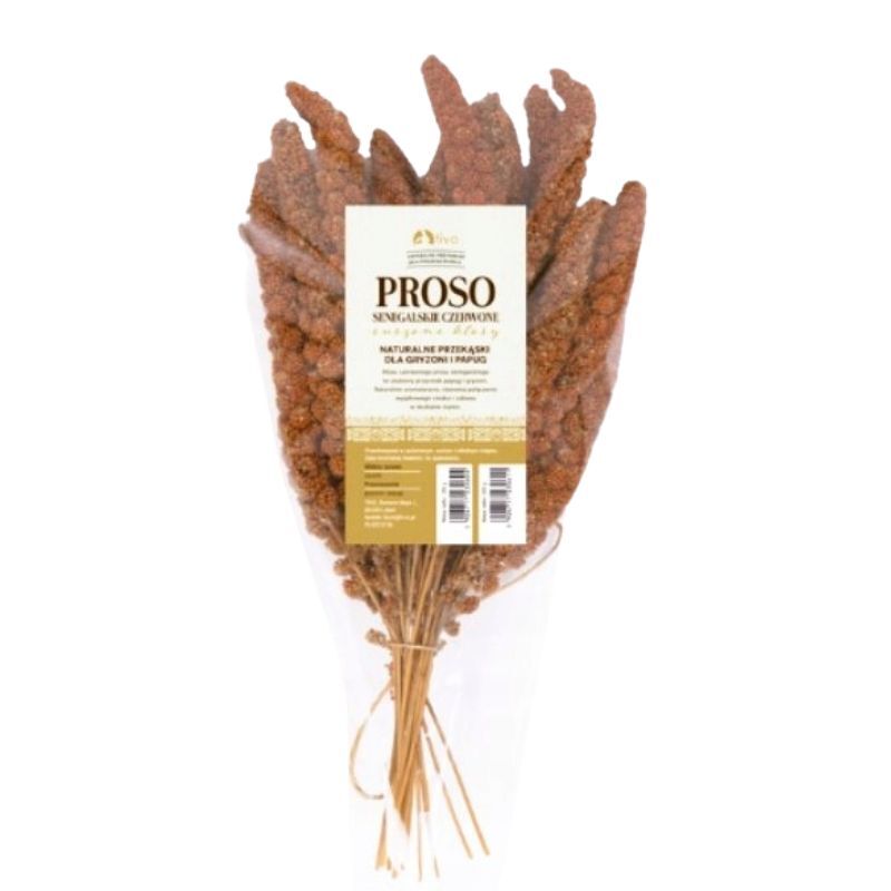 Tivo Kłosy - Proso Senegalskie czerwone - przysmak dla ptaków i małych ssaków - 150 g