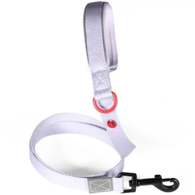 Zolux – Liliowa smycz nylonowa premium dla psa – 1,2 m