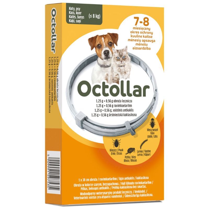 ELANCO Octollar - obroża przeciw kleszczom, pchłom i wszołom dla kotów i małych psów (do 8 kg) - rozmiar S (38 cm)