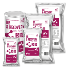 BB & Recovery Balance powder, niezbędny podczas rekonwalescencji dla wyniszczonych psów i kotów po operacjach