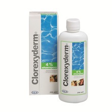Geulincx Clorexyderm Shampoo - skoncentrowany szampon antybaketryjny, antygrzybiczy, antypasożytniczy dla psów i kotów