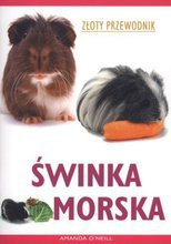 Świnka morska. Złoty przewodnik- Amanda O' Neill, wyd. Olesiejuk