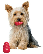 KONG - X-Small - behawioralna zabawka dla psów ras miniaturowych do 2kg wagi