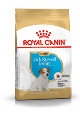 ROYAL CANIN Jack Russell Terrier Puppy - karma dla szczeniąt rasy Jack Russell Terrier