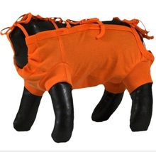 Grande Finale - koszulka pooperacyjna dla psa i kota, kolor pomarańczowy