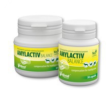 Vetfood Amylactiv Balance - enzymy trawienne dla psa i kota