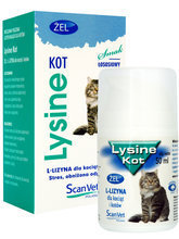 ScanVet Lysine Kot - preparat wspomagający przeciwko herpeswirozie dla kociąt i kotów, żel  z lizyną, 50ml