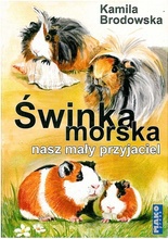 Świnka morska - nasz mały przyjaciel- Kamila Brodowska, wyd. Mako