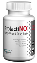 VETEXPERT PROLACTINO LARGE BREED - preparat wspomagający dla suk dużych ras z objawami ciąży urojonej, 40 tabletek
