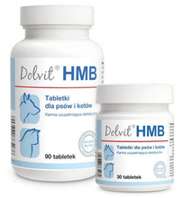 Dolvit (Dolfos) HMB- karma uzupełniająca dietetyczna dla psów i kotów, 30 tabl, 90 tabletek