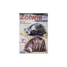 Żółwie lądowe- Dorota Boruszkowska