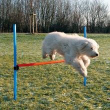 Trixie płotek zręcznościowy do agility