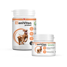 VETOQUINOL Caniviton protect - preparat wspomagający funkcję chrząstki stawowej dla psów i kotów, 30 i 90 tab.