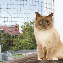 Trixie Cat Protect- wzmacniana siatka zabezpieczająca okno lub balkon dla kota, ciemno-zielona