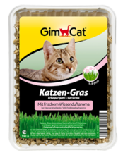 GIMPET KATZEN GRAS - trawa dla kota, 100g
