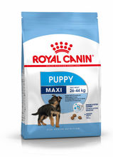 ROYAL CANIN Maxi Puppy - karma dla szczeniąt dużych ras