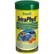 TETRA Phyll - pokarm dla ryb roślinożernych, z wysoką zawartością błonnika