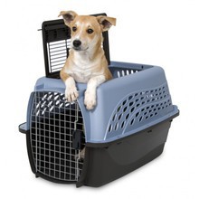 Petmate 2-Door Kennel - transporter 2 drzwiowy, niebiesko/kawowy