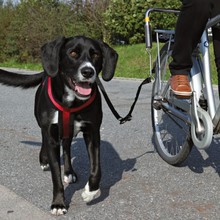Trixie Biker Set zestaw do bezpiecznego prowadzenia psa podczas jazdy rowerem