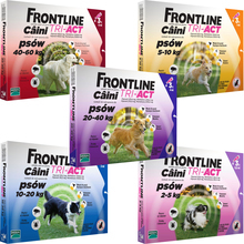 FRONTLINE Tri-Act - preparat przeciw ektopasożytom - spot-on, opakowanie 3 pipety