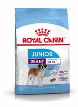 ROYAL CANIN Giant Junior - karma dla szczeniąt ras olbrzymich, 15 kg