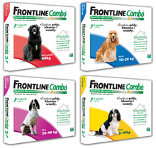 FRONTLINE COMBO - dla psów na pchły i kleszcze, spot-on, 3 pipetki