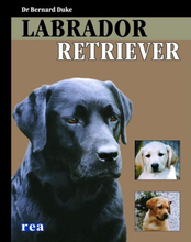 Labrador Retriever - Bernard Duke