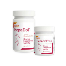 DOLFOS - HepaDol - Ochrona i regeneracja wątroby, tabletki dla psów i kotów, 60 tabletek
