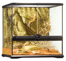 EXO TERRA Natural Terrarium Small - szklane terrarium, 45x45x45 cm