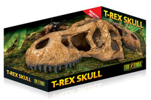 EXO TERRA T-Rex Skull - czaszka dinozaura T-rex do terrarium