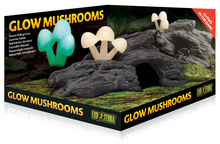 EXO TERRA Glow Mushrooms Natural Hide Out - świecące grzyby rosnące na drewnie - dekoracja do terrarium