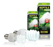 EXO TERRA Repti Glo Compact 5.0 Compact Fluorescent Bulbs - żarówka dla gadów tropikalnych