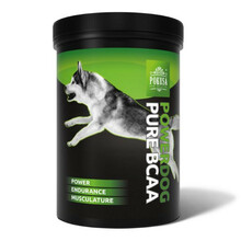 POKUSA PowerDog BCAA PURE 200g - większa wydolność