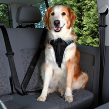 TRIXIE Szelki samochodowe Dog Protect - pasy bezpieczeństwa dla psów