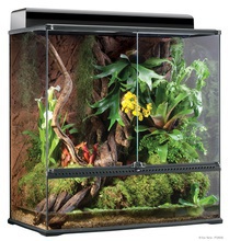 EXO TERRA Terrarium LARGE - szklane terrarium