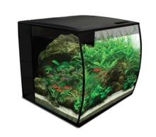 FLUVAL FLEX Aquarium 34L - Akwarium z wypukłą szybą