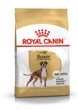 ROYAL CANIN Boxer - karma dla psa rasy Bokser 12kg