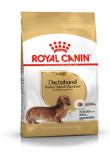 ROYAL CANIN Dachshund Adult - sucha karma dla dorosłych jamników