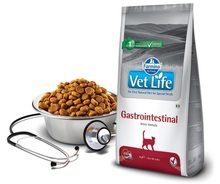 FARMINA Vet Life Gastrointestinal karma dla kotów z ostrymi lub przewlekłymi schorzeniami przewodu pokarmowego 400g, 2kg i 10kg