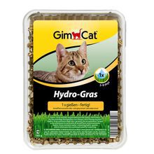 GIMPET Hy-Gras trawa dla kota, 150g