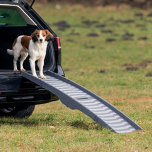 TRIXIE Rampa - kładka składana dla psa ważącego do 25 kg, długość 1,5m