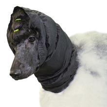 Show-Tech Snood - opaska ochronna na uszy dla psów długowłosych
