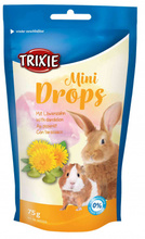TRIXIE Dropsy dla gryzoni z mniszkiem lekarskim 75g