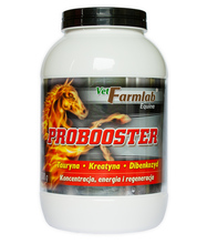 VETFOOD Probooster Equine - dietetyczna karma uzupełniająca dla koni 1500 g