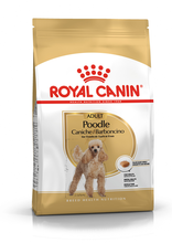 ROYAL CANIN Poodle Adult- karma dla pudelków powyżej 10 miesiąca życia, 1,5 kg