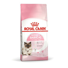 ROYAL CANIN Mother & Babycat - karma dla kotek karmiących oraz kociąt od 1-4 miesiąca życia