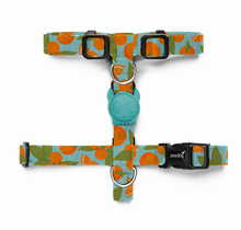 ZEE DOG H-Harness Florida dla psa
